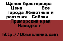 Щенок бультерьера › Цена ­ 35 000 - Все города Животные и растения » Собаки   . Приморский край,Находка г.